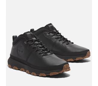 Sneaker Timberland Stringata Winsor Uomo